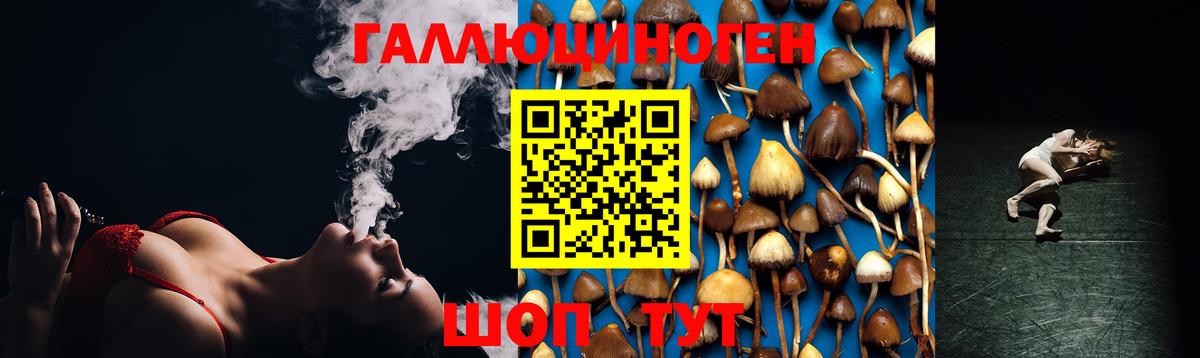 Галлюциногенные грибы Magic Shrooms  Вход с VPN  Котлас 